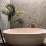 Come arredare il bagno con le piante? 6 soluzioni per un tocco di verde