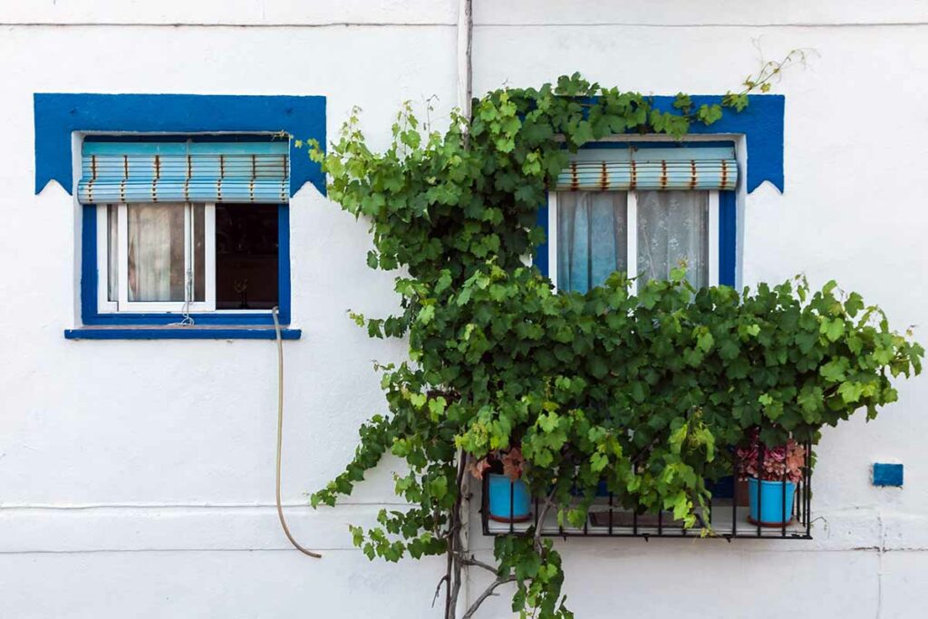 Balcone funzionale e sostenibile