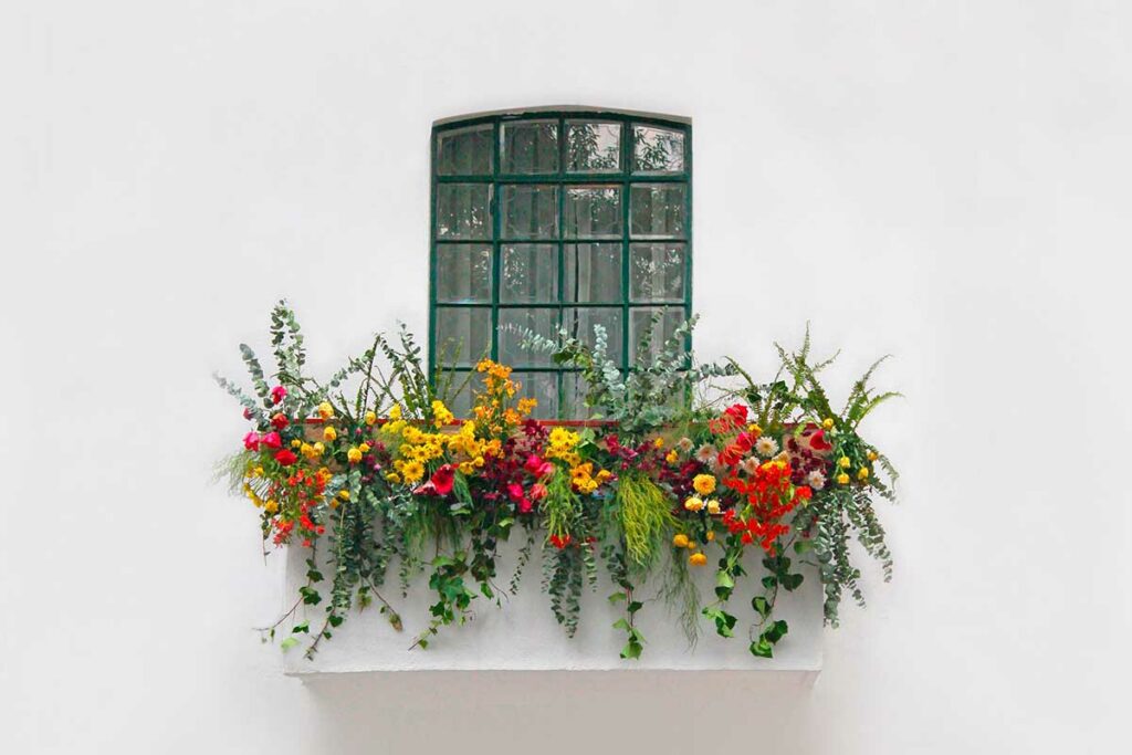 fiori per balcone all’ombra