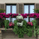 I fiori da balcone più adatti a un balcone al sole