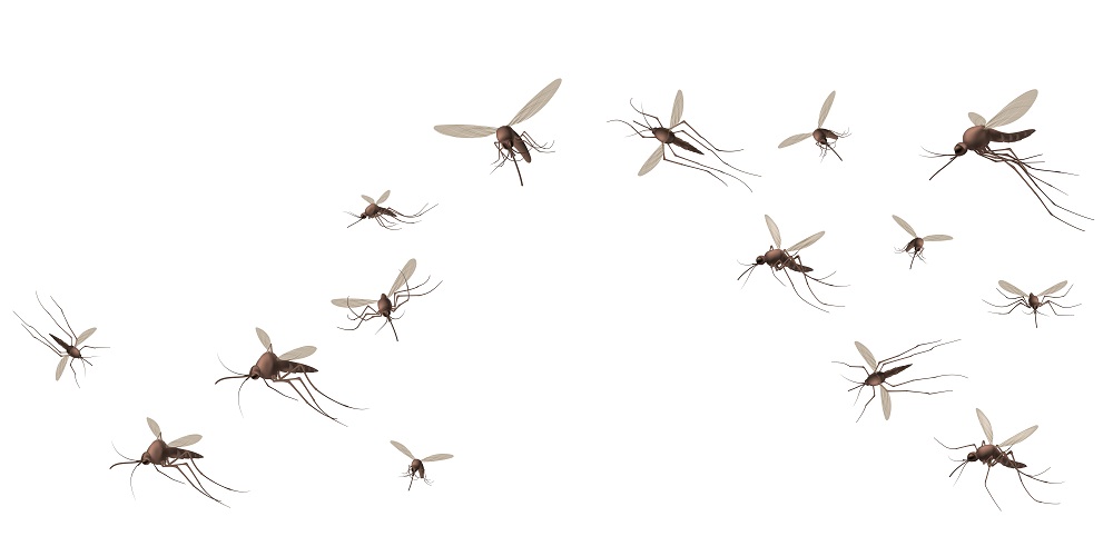 rimedi naturali contro le zanzare trappola