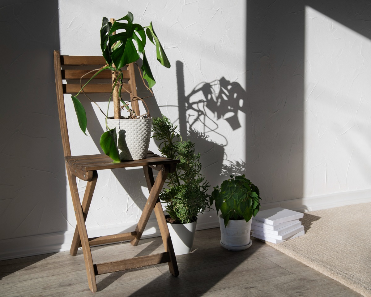 Casa minimal