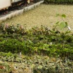 Autobloccante drenante: vantaggi tecnici e benefici per il drenaggio del giardino autobloccante drenante